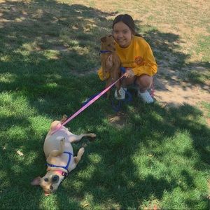 Meet your Posher, Isabella